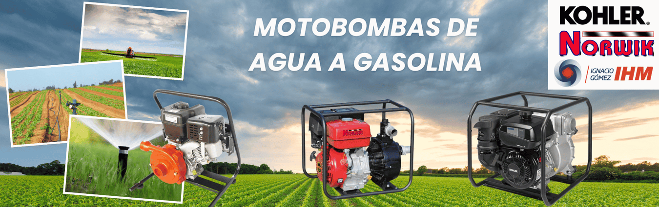 Motobombas a Gasolina