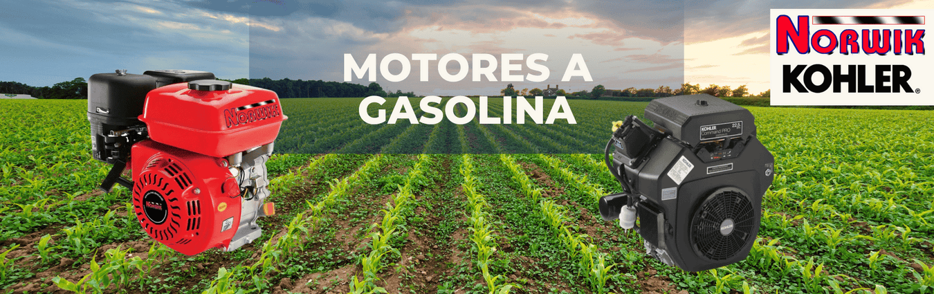 Motores a Gasolina