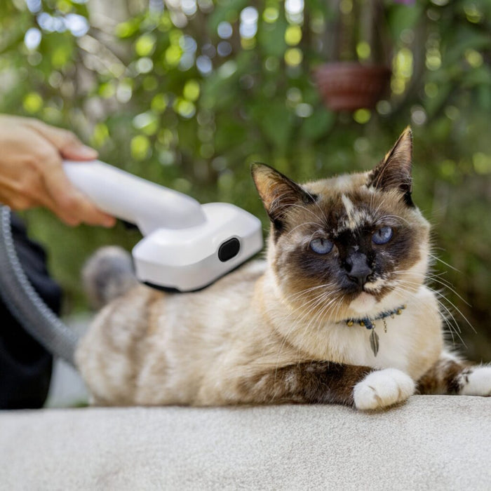 Apiradora y Peluqueria para Mascotas Modelo K Pet Clean, Karcher