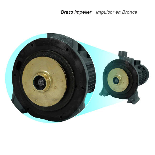 Bomba de Agua Centrífuga Serie C2P de 2 a 5.5 Hp, Pearl